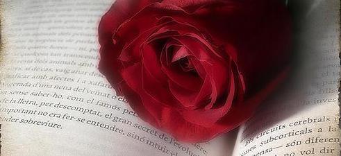 sant-jordi-book