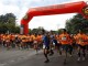 Plan de entrenamiento para bajar de 1h 50min en media maratón Plan de entrenamiento para bajar de 1h 50min en media maratón
