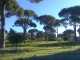 Cinco lugares perfectos para el running en Madrid Cinco lugares perfectos para el running en Madrid