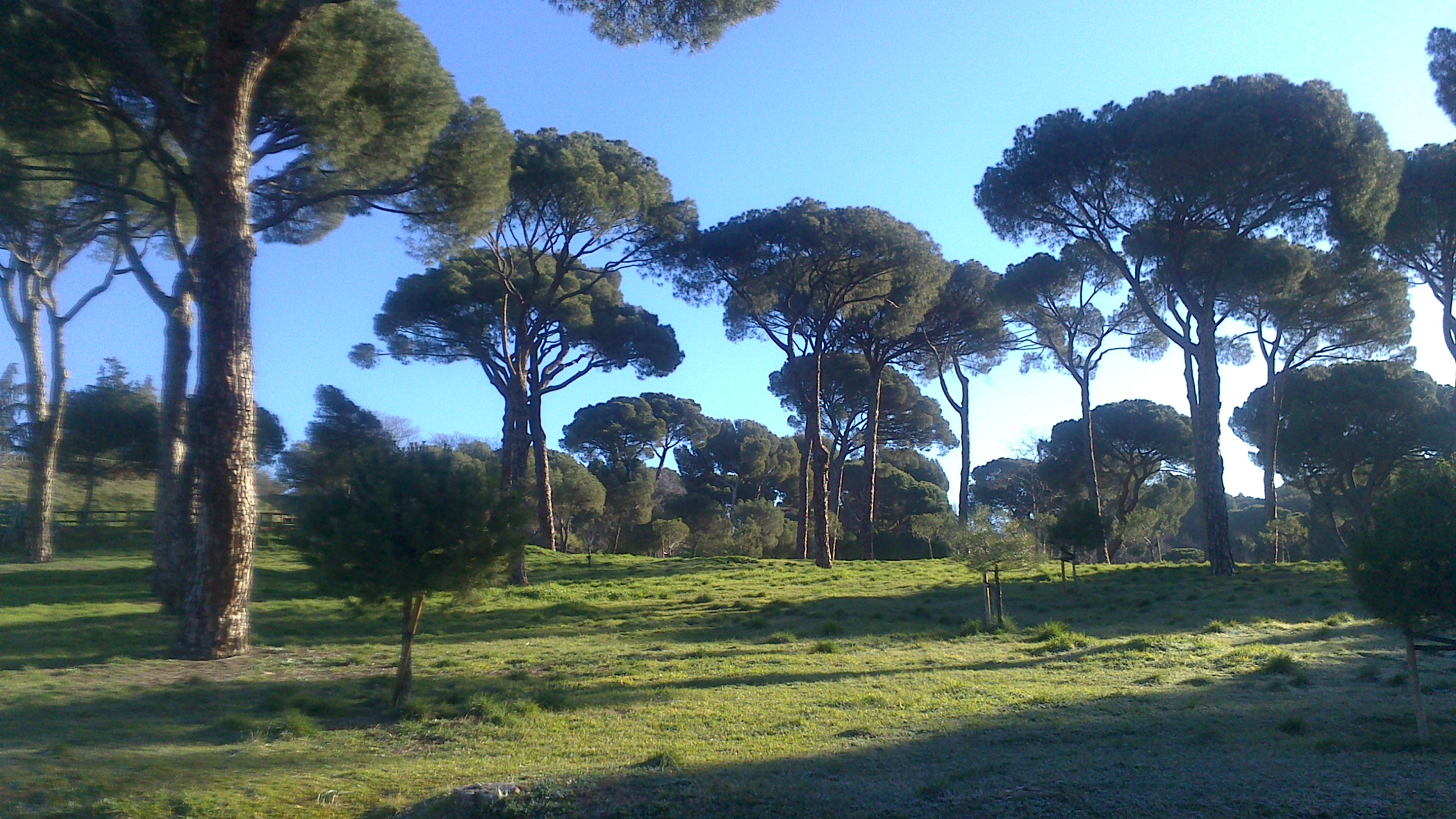 LUGARES DE OCIO DE MADRID lugares de ocio de madrid: